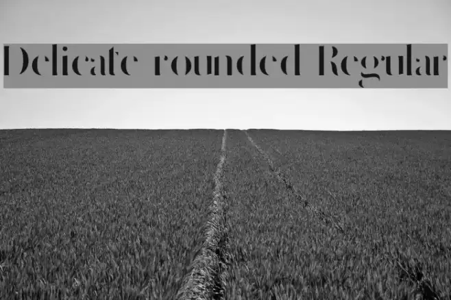 Delicate rounded Regular Example 3