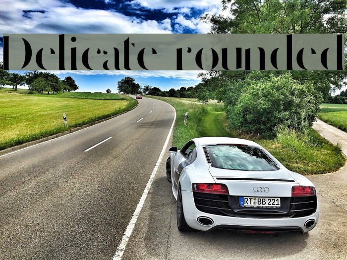 Delicate rounded Example 1