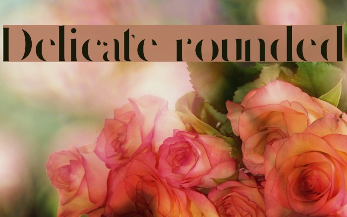 Delicate rounded Example 3