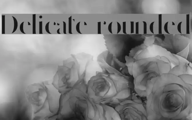 Delicate rounded Example 3