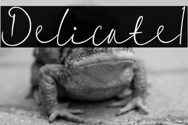 Delicate1 Font examples