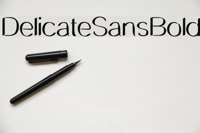 DelicateSansBold Font examples