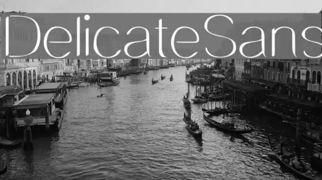 DelicateSans Font examples