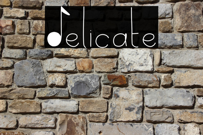 Delicate Font examples