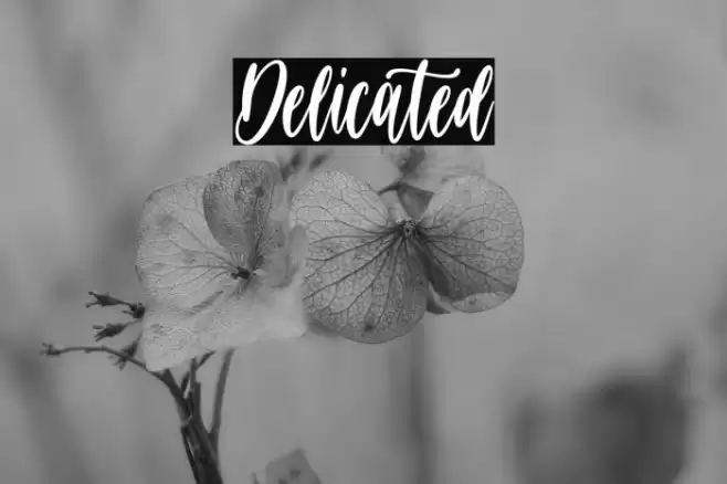 Delicated Font examples