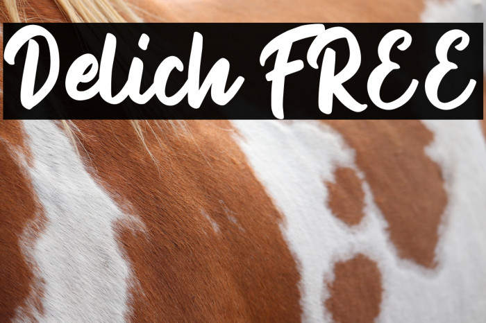 Delich FREE Example 1