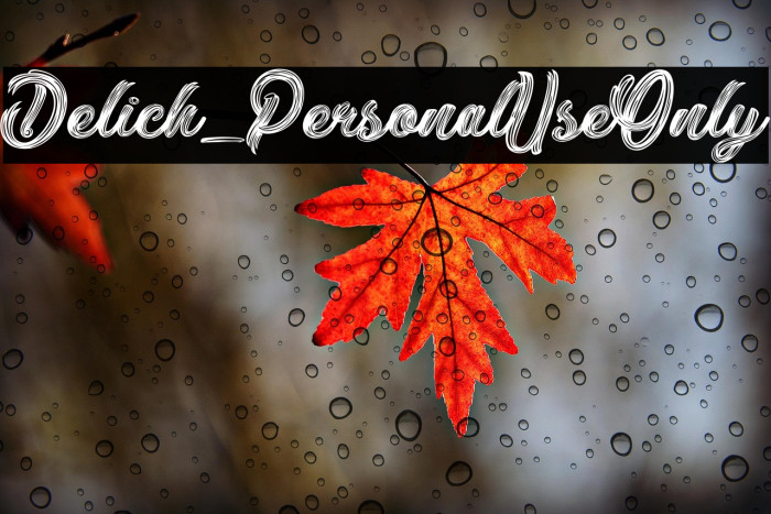 Delich_PersonalUseOnly Example 1