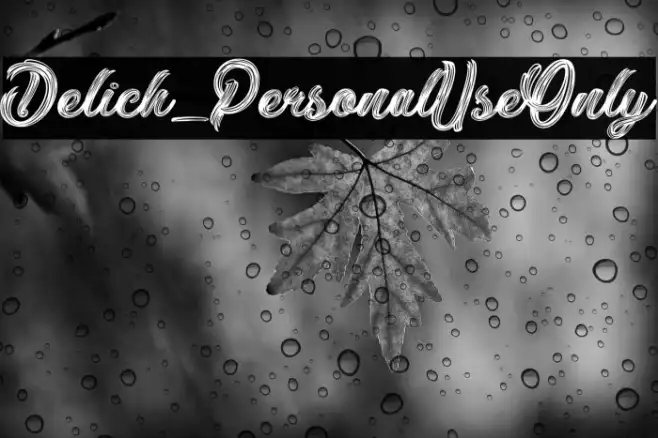 Delich_PersonalUseOnly Example 1
