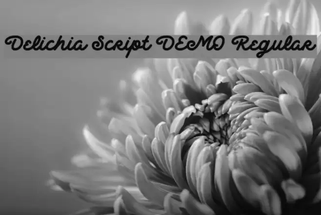Delichia Script DEMO Regular Font examples