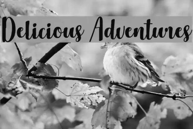 Delicious Adventures Font examples
