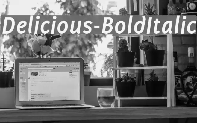 Delicious-BoldItalic Font examples