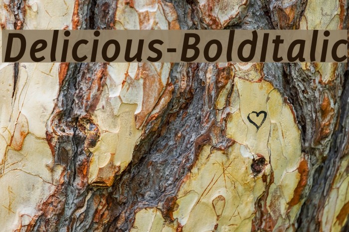 Delicious-BoldItalic Font examples