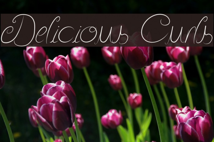 Delicious Curls Font examples