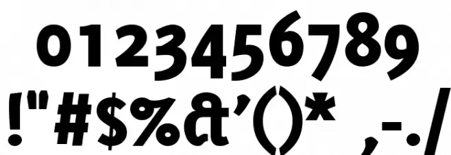 Delicious-Heavy Font OTHER CHARS