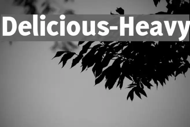 Delicious-Heavy Font examples