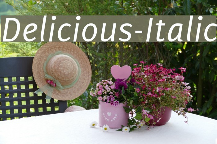 Delicious-Italic Font examples