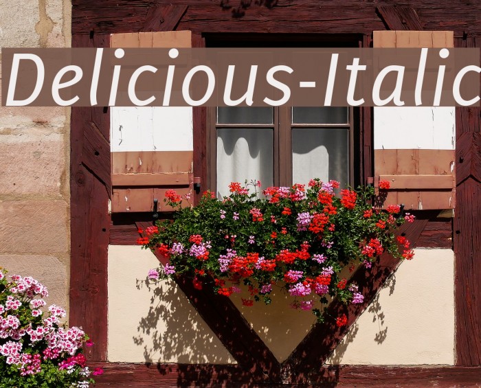 Delicious-Italic Font examples