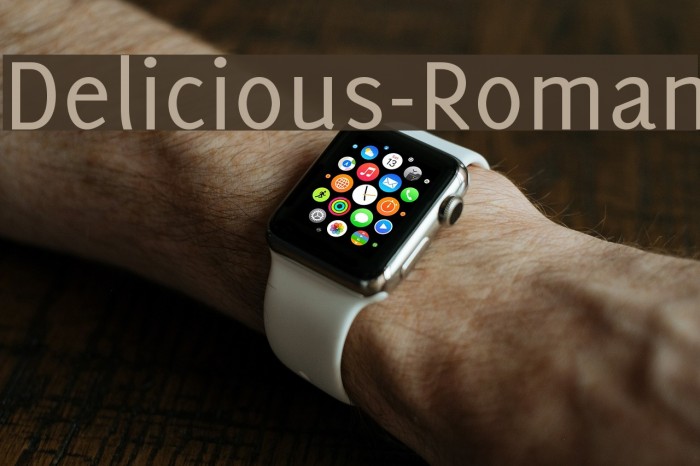Delicious-Roman Font examples