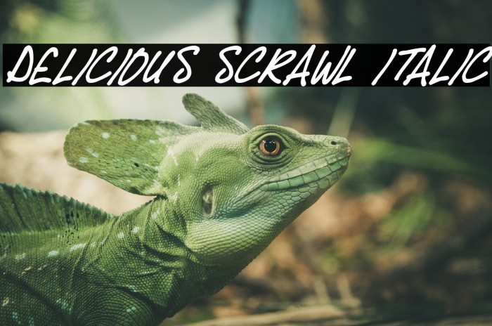 Delicious Scrawl Italic Font examples