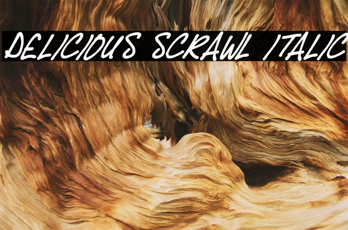 Delicious Scrawl Italic Font examples
