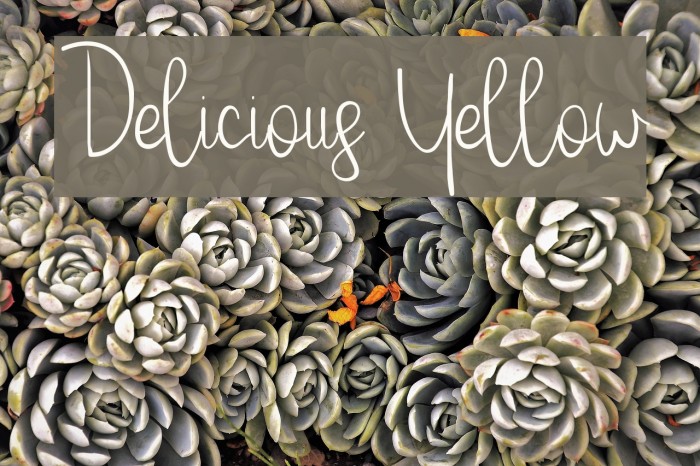 Delicious Yellow Font examples