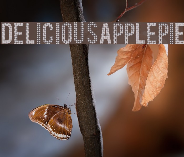 DeliciousApplepie フォント examples