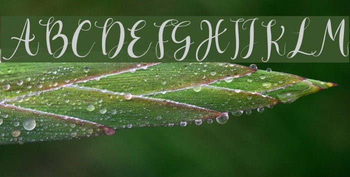 Deliciously Regular Example 2