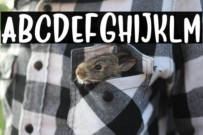 Deliciously-Sans Example 2