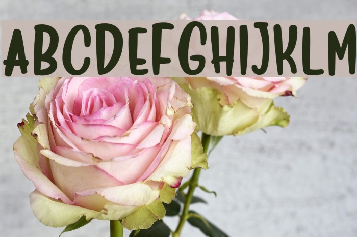 Deliciously Sans Example 2