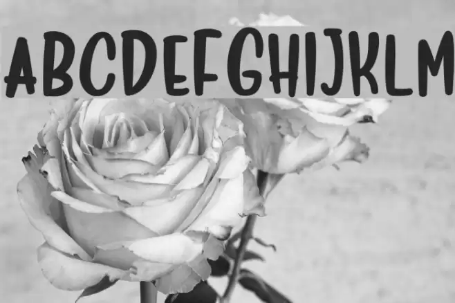 Deliciously Sans Font examples