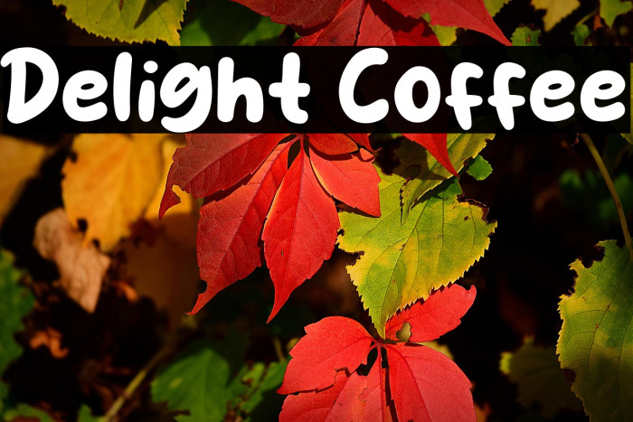 Delight Coffee Example 3