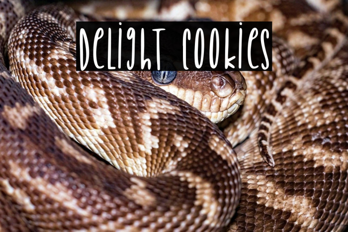 Delight Cookies Example 2