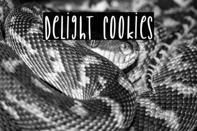 Delight Cookies Example 2