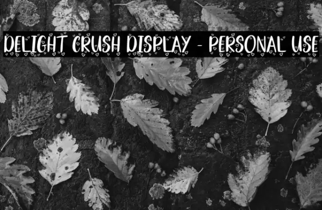 Delight Crush Display - Personal Use Font examples