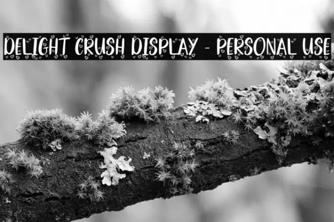 Delight Crush Display - Personal Use Font examples