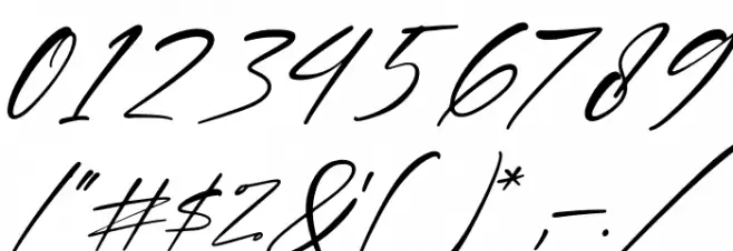 Delight Italic Font OTHER CHARS