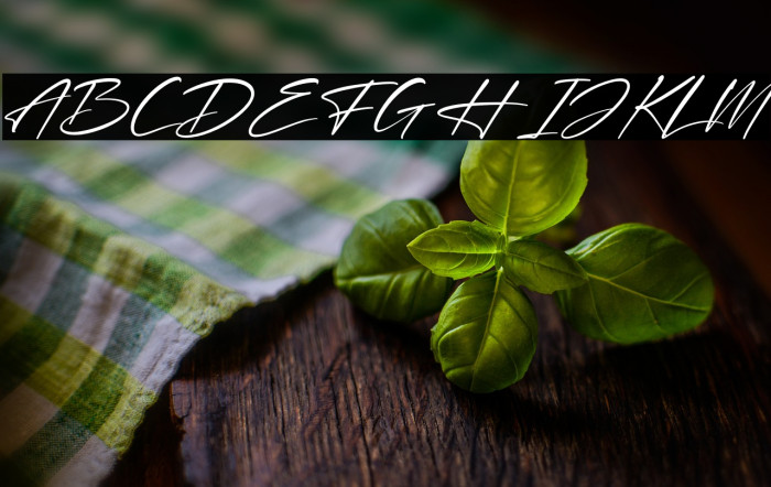 Delight Italic Example 3