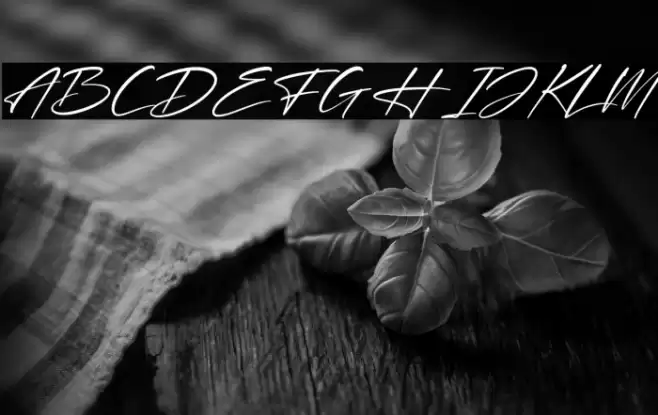 Delight Italic Font examples