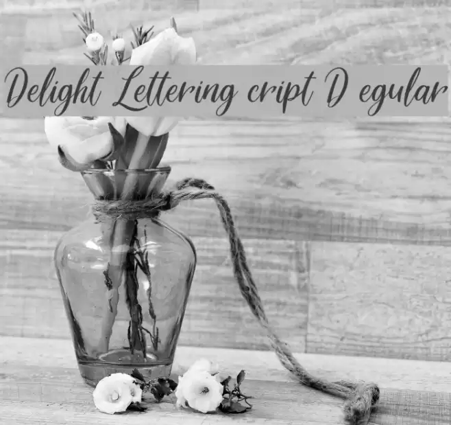 Delight Lettering Script DEMO Regular Font examples