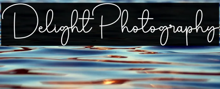 Delight Photography Example 2