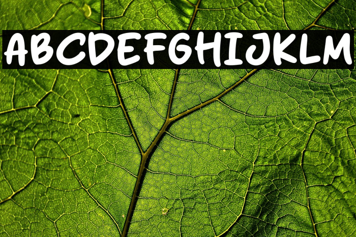 Delight Purple Example 2