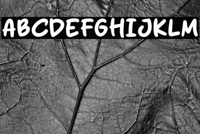 Delight Purple फ़ॉन्ट examples