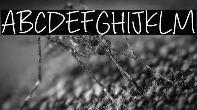 Delight Signature Fuentes examples