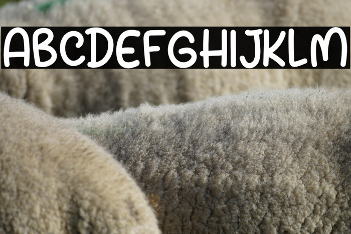 Delight Snowy Example 1