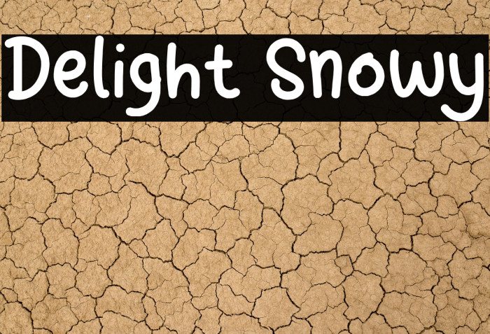 Delight Snowy Example 3