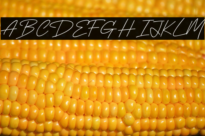 Delight Sunset Example 1