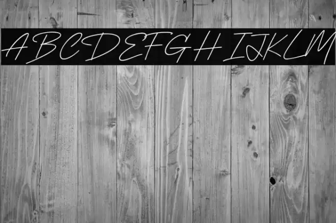 Delight Sunset خط examples