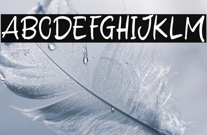 Delight Winter Example 1