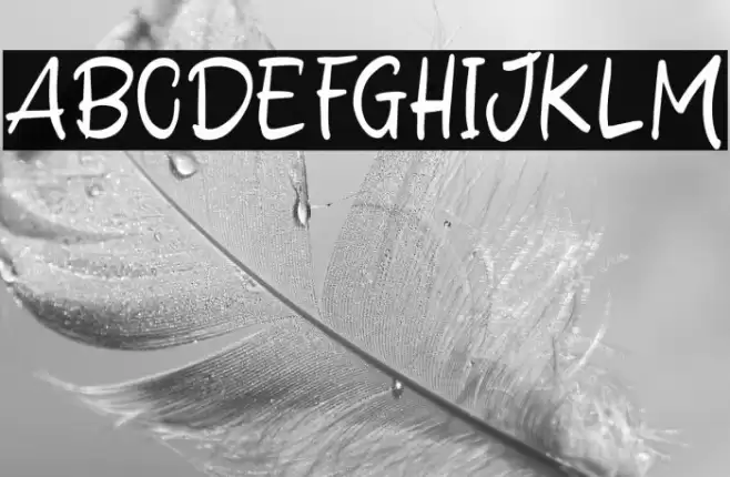 Delight Winter Font examples