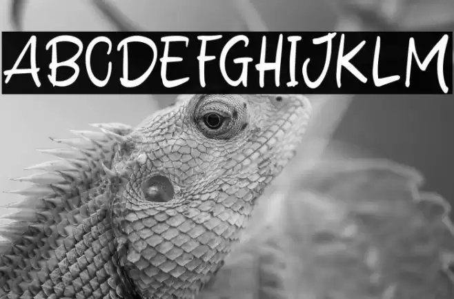 Delight Winter Font examples